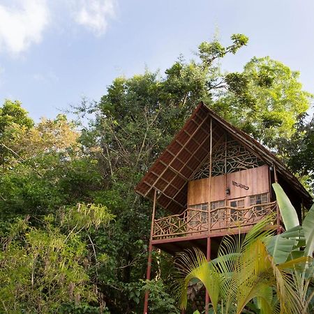 Bio Thermales Hot Springs Villa Palmera Luaran gambar