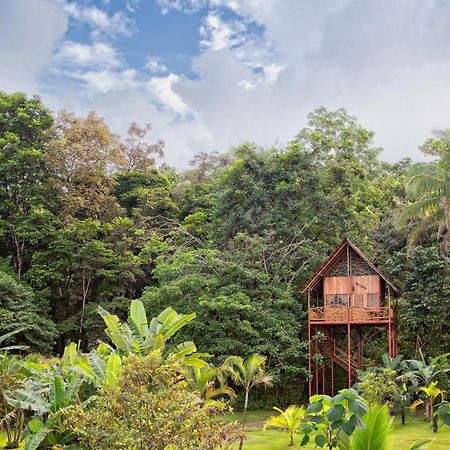 Bio Thermales Hot Springs Villa Palmera Luaran gambar