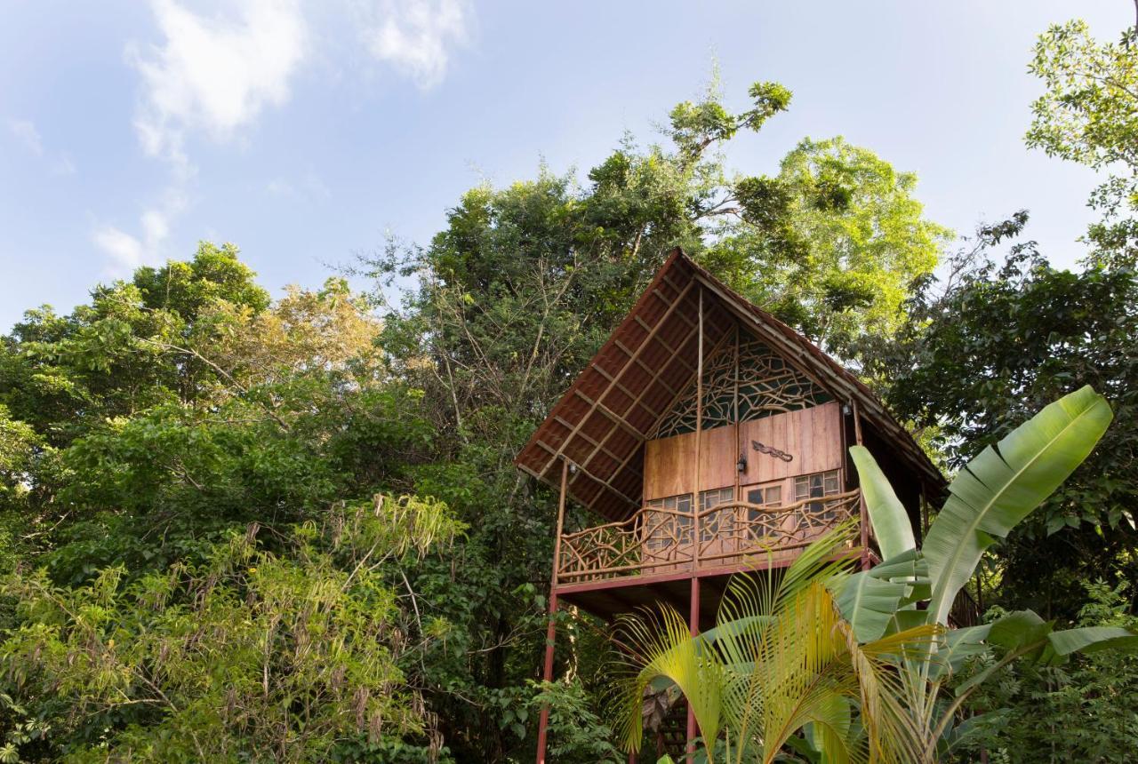 Bio Thermales Hot Springs Villa Palmera Luaran gambar