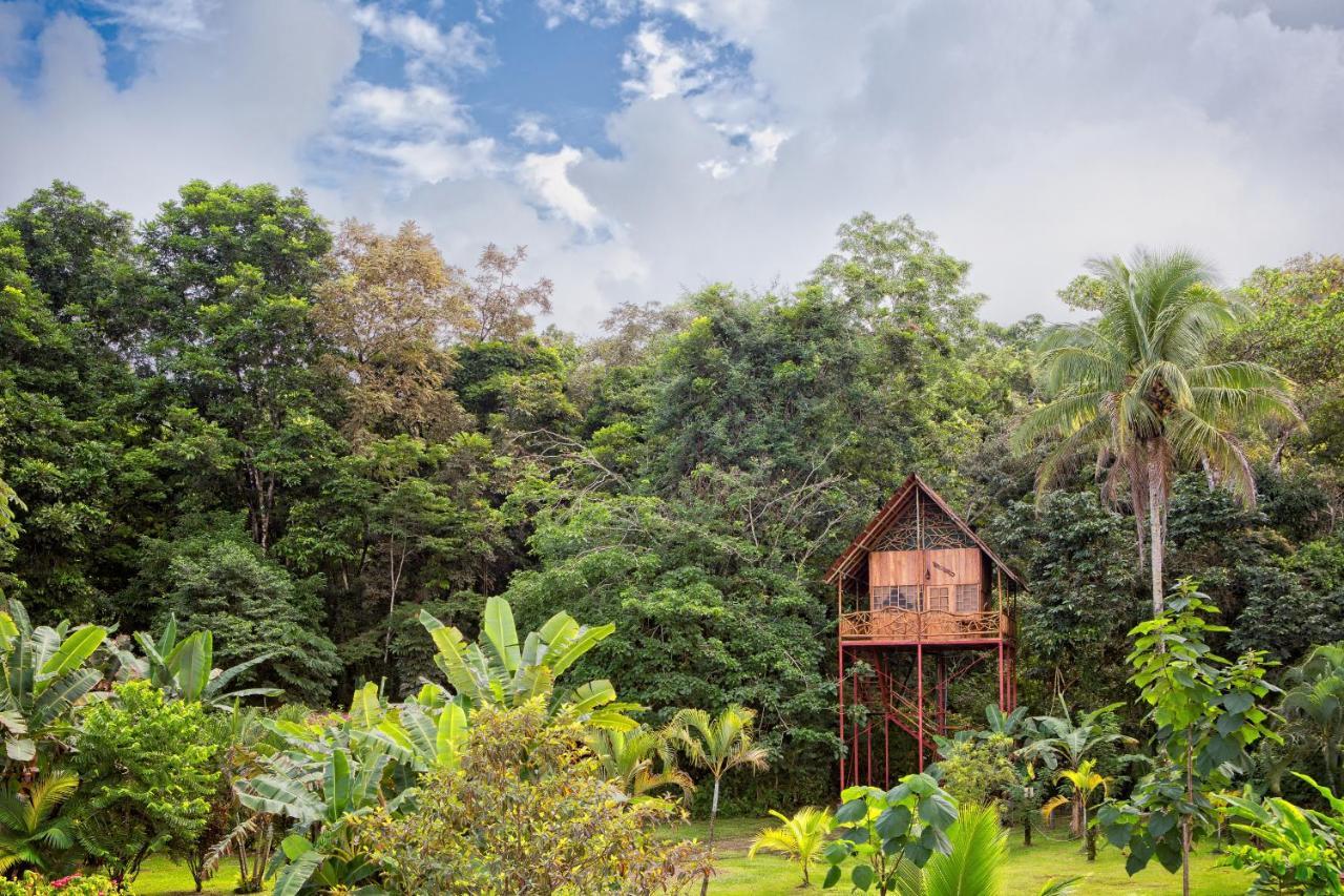 Bio Thermales Hot Springs Villa Palmera Luaran gambar