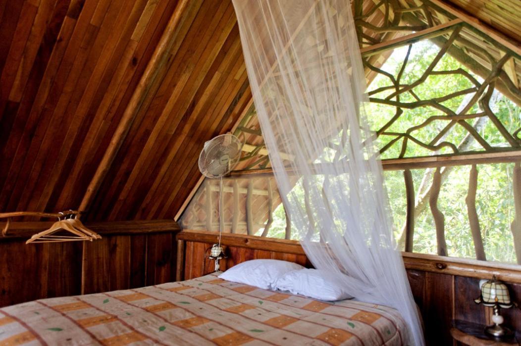 Bio Thermales Hot Springs Villa Palmera Luaran gambar