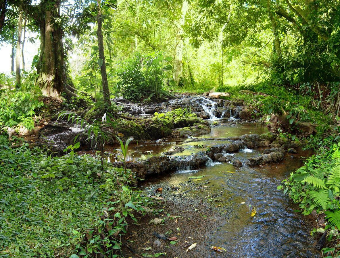 Bio Thermales Hot Springs Villa Palmera Luaran gambar