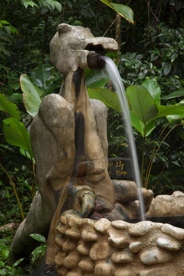 Bio Thermales Hot Springs Villa Palmera Luaran gambar