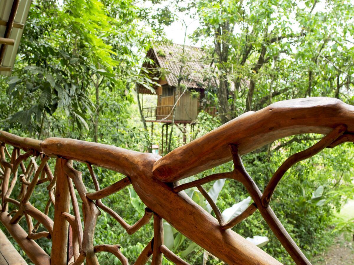 Bio Thermales Hot Springs Villa Palmera Luaran gambar